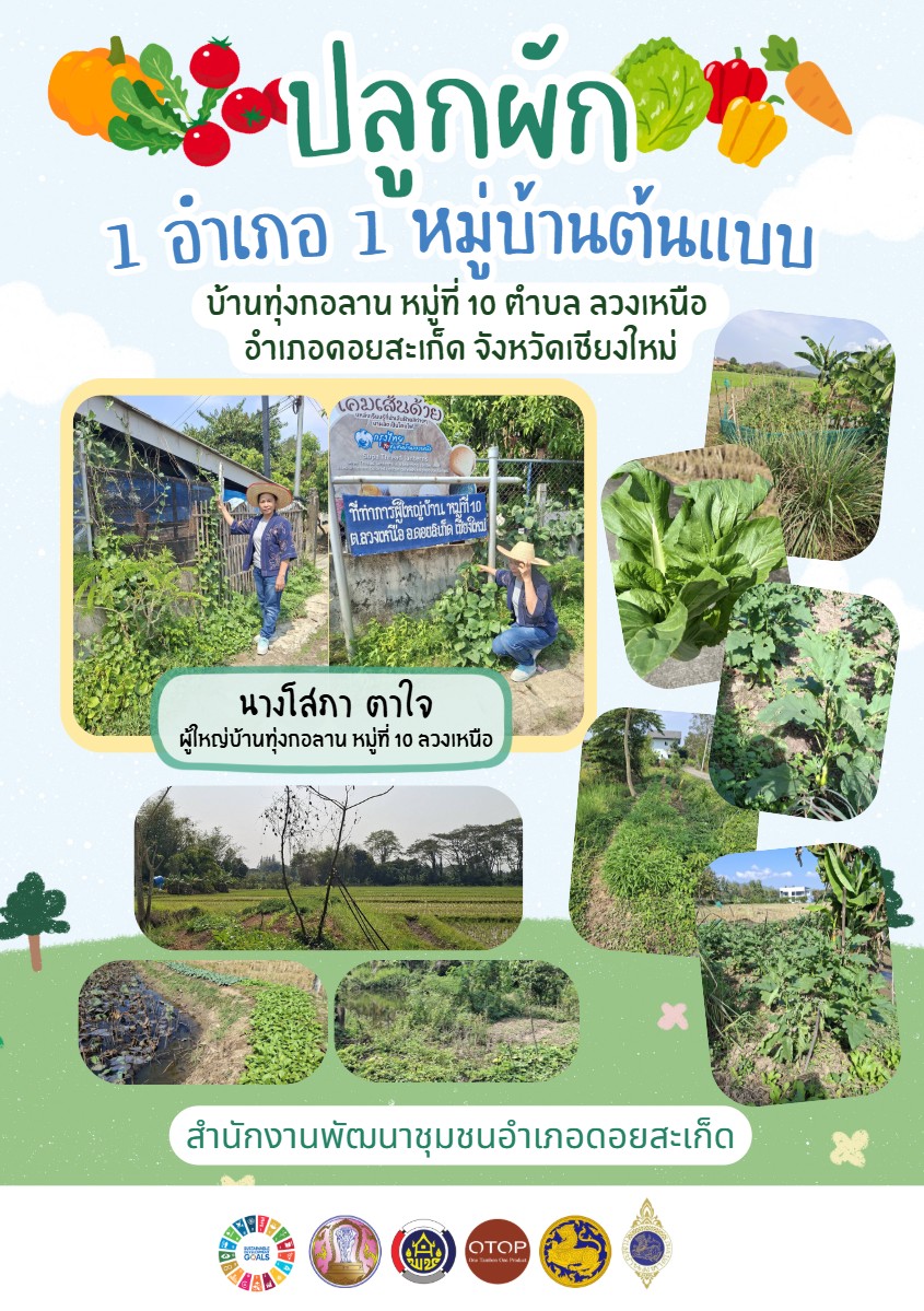 พช.ดอยสะเก็ด ร่วมรณรงค์และประชาสัมพันธ์ให้ผู้นำในพื้นที่ปลูกผักตามรอบฤดูกาลตามบริบทของพื้นที่ เพื่อส่งเสริมการปลูกผักสวนครัว เพื่อสร้างความมั่นคงทางอาหาร