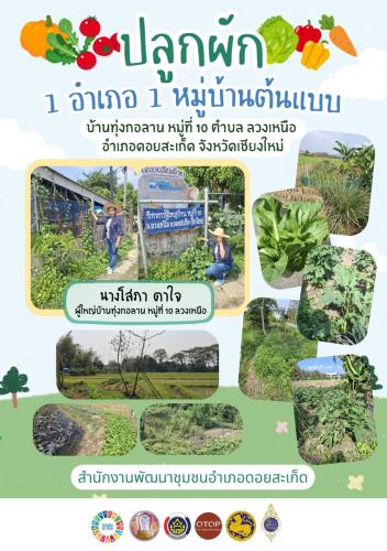 พช.ดอยสะเก็ด ร่วมรณรงค์และประชาสัมพันธ์ให้ผู้นำในพื้นที่ปลูกผักตามรอบฤดูกาลตามบริบทของพื้นที่ เพื่อส่งเสริมการปลูกผักสวนครัว เพื่อสร้างความมั่นคงทางอาหาร